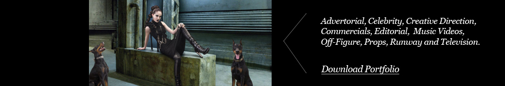 Download PDF - Portfolio.